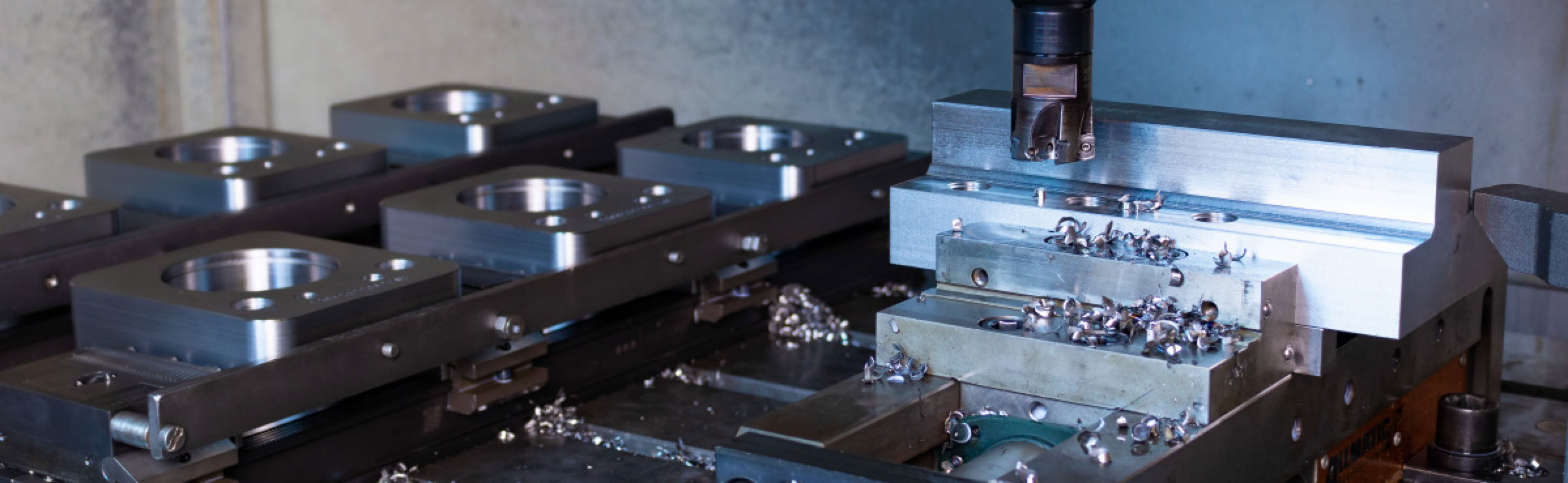 Headerbild Fr&auml;ser